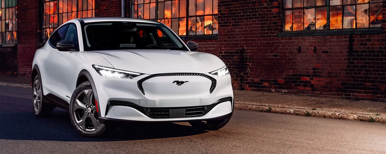 A white Ford Expedition Platinum parked near a lake.